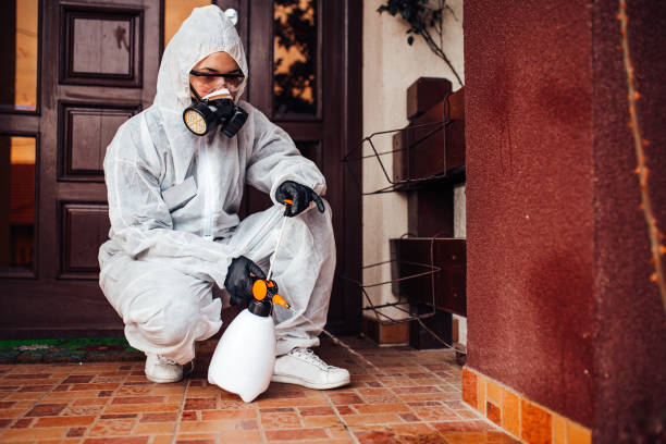Reliable Wasp Removal contractor in Antigo, WI by Show Me Pest Control